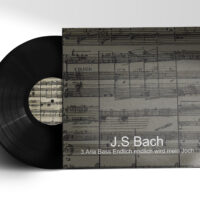 3. Aria - 'Endlich, endlich wird mein Joch' Bach BWV 56